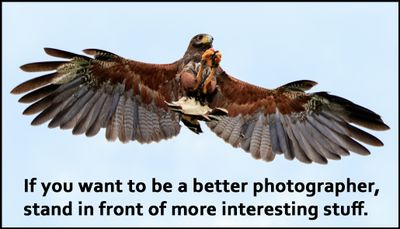 photography - if you want to be a better.jpg