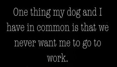 work - one thing my dog and I.jpg