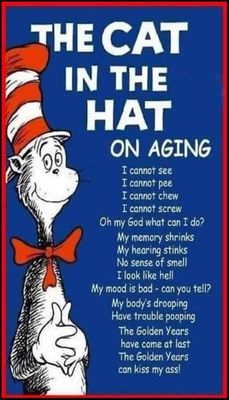 age - v - cat in the hat on aging.jpg