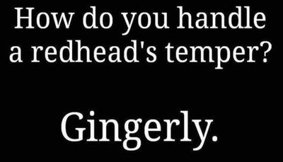 funny - how do you handle.jpg