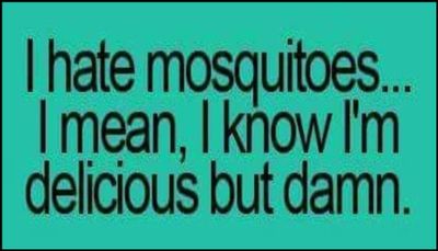 funny - I hate mosquitoes.jpg