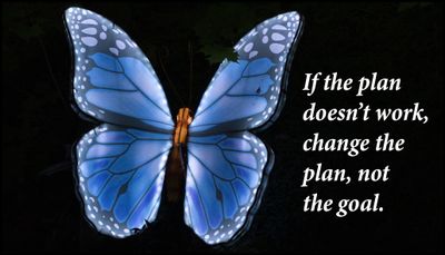 goals - if the plan doesn't work.jpg