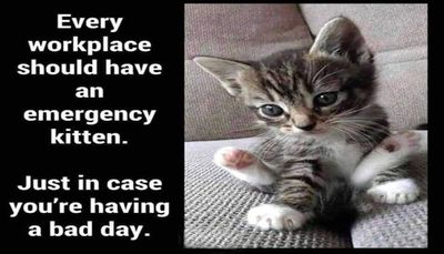 work - every workplace should have.jpg