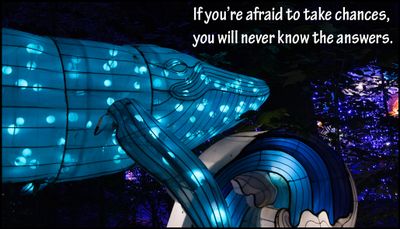 chance - if you're afraid to take.jpg