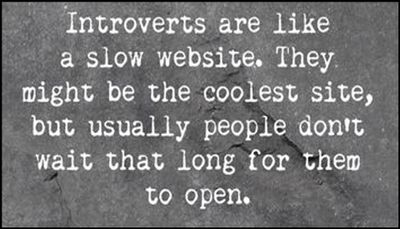 introvert - introverts are like a slow.jpg