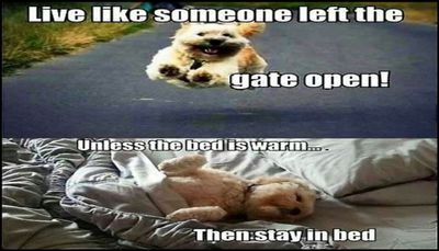 note to self - live like someone left the gate open.jpg