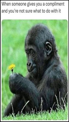 funny - v - when someone gives you.jpg