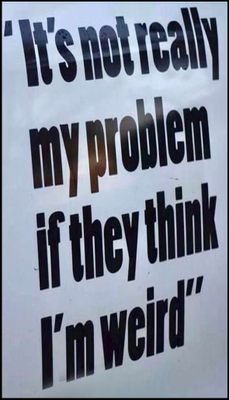 problem - v - it's really not my problem.jpg
