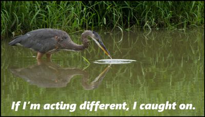 note to self - if I'm acting different.jpg