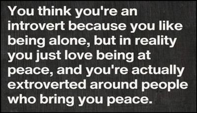 introvert - you think you're an introvert.jpg