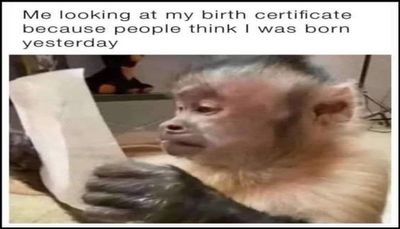 funny - me looking at my birth.jpg