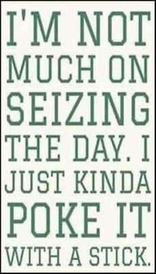 funny - v - I'm not much on seizing.jpg