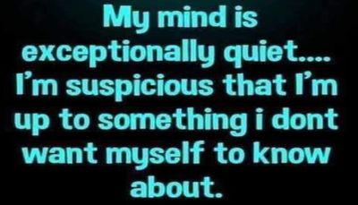funny - my mind is exceptionally queit.jpg