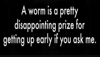 funny - a worm is a pretty.jpg