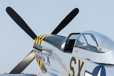 London Airshow D240902 08461 www.jpg