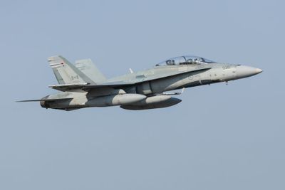 London Airshow D240902 09499 www.jpg