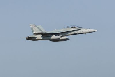 London Airshow D240902 09469 www.jpg
