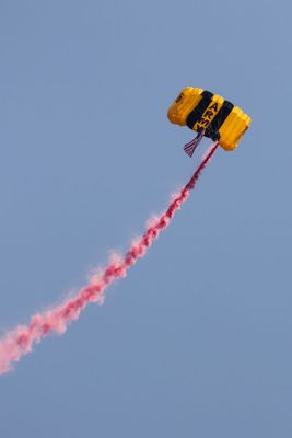 London Airshow D240903 00489 www.jpg