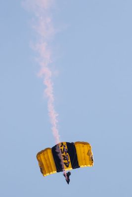 London Airshow D240903 00430 www.jpg