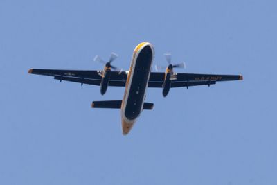 US Army Golden Knights