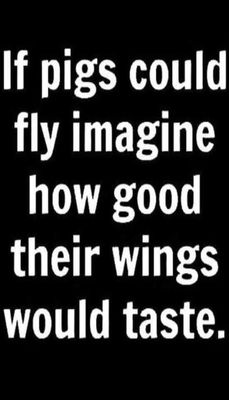 funny - v - if pigs could fly.jpg