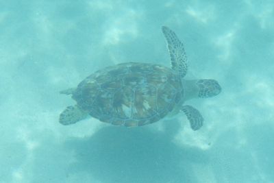 3 Beach Tour D241003 1335 www.jpg