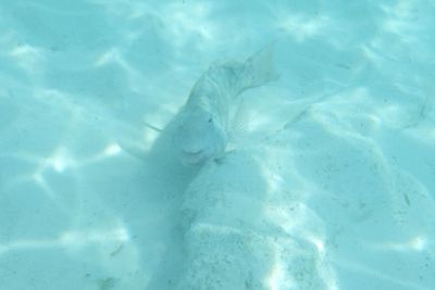 3 Beach Tour D241003 1447 www.jpg