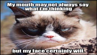 funny - my mouth may not always.jpg