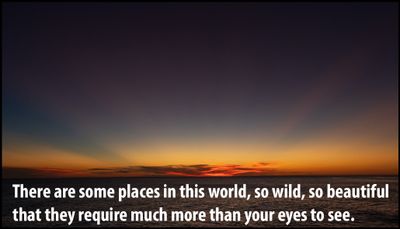 Travel