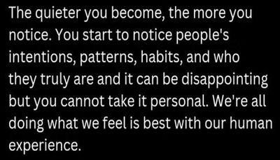 introvert - the quieter you become.jpg