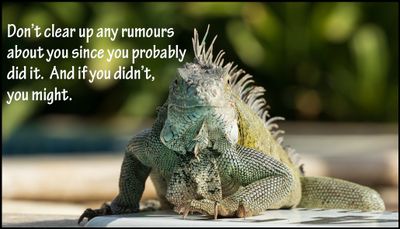 note to self - don't clear up any rumours.jpg