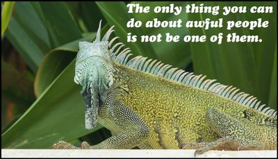 note to self - the only thing you can do.jpg