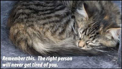 opinion - the right person will never.jpg