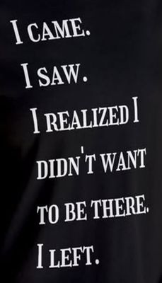 introvert - v - I came I saw.jpg