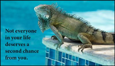 chance - not everyone is your life.jpg