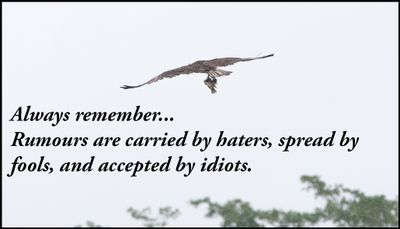 note to self - always remember rumours are.jpg