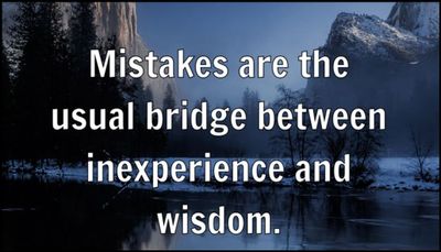 mistakes - mistakes are the usual bridge.jpg