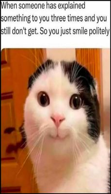 funny - v - when someone has explained.jpg