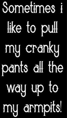 funny - v - sometimes I like to pull.jpg