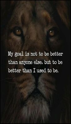 goals - v - my goal is not to be better.jpg