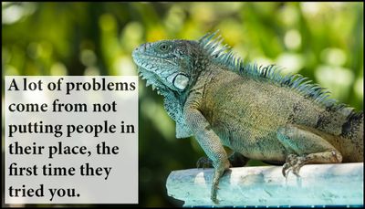 problems - a lof of problems.jpg