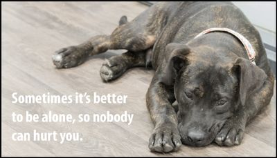alone - sometimes it's better to be.jpg