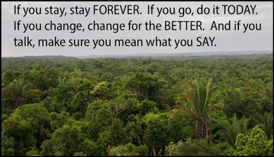 note to self - if you stay stay forever.jpg