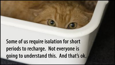 introvert - some of us require isolation.jpg