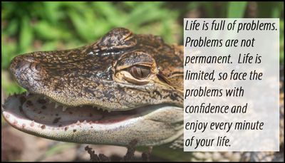 problem - life is full of problems.jpg
