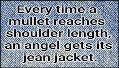 funny - every time a mullet.jpg