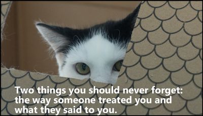 note to self - two things you should never.jpg