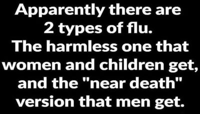 funny - apperantly there are 2 types of flu.jpg