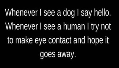 introvert - whenever I see a dog.jpg