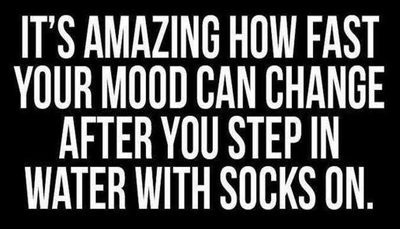 funny - it's amazing how fast.jpg